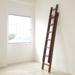 tenjin_ladder